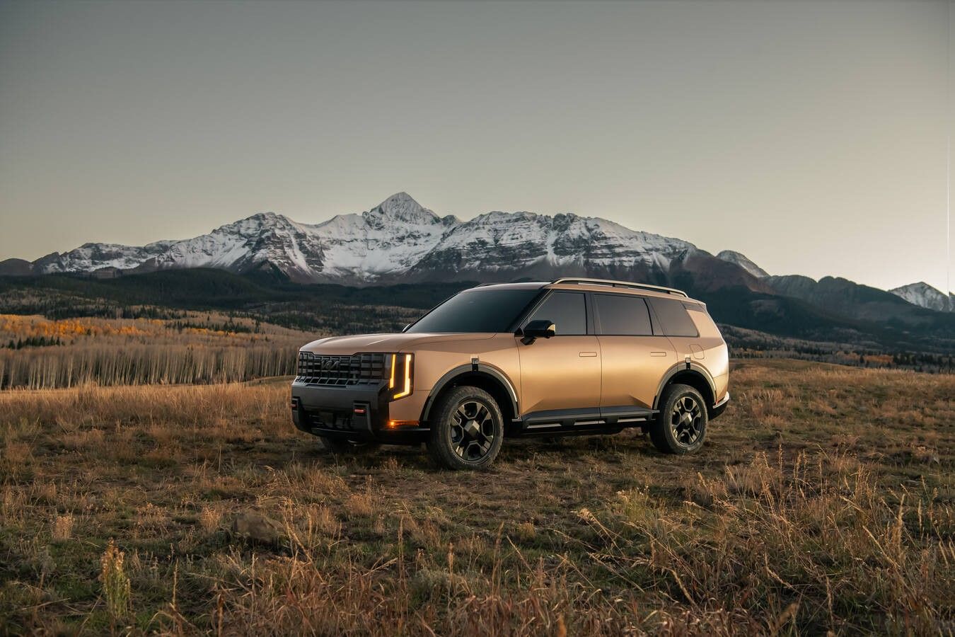 Kia Telluride SUV in side view on a road, matching a report about battery problems